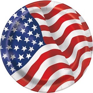 USA Flag Paper Plates - 9