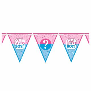 Boy Or Girl Baby Shower Pennant Banner - 4.5m - Single - 120212