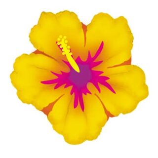 Oaktree - Hawaiian Flower Hibiscus Shape - 30