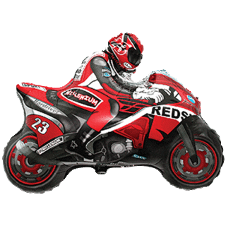 Flexmetal 14"Motorbike Racing Mini -902663