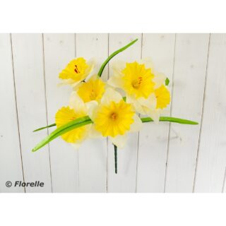 Daffodil Bush - FL13151