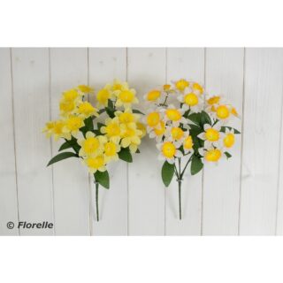 Narcissus Bush Assorted Colour's - FL13458