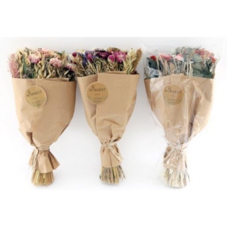 Dried Flowers Scented Floral Boutique - FL1133