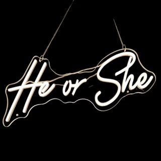 Neon Sign - White - He or She -  63.5 X 22.5 - 12922