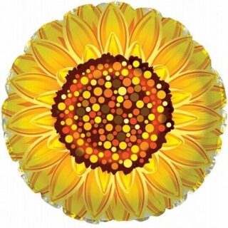 Sun Flower -17