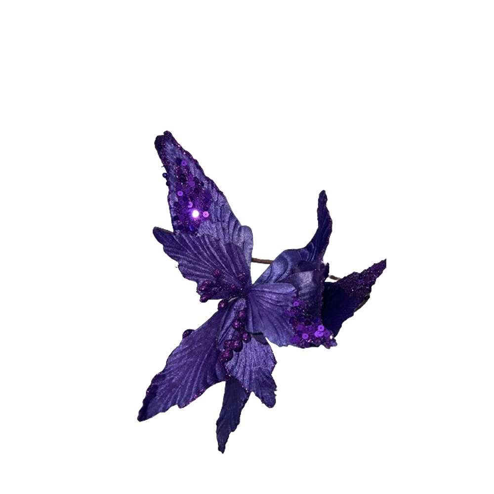 Purple Velvet Poinsettia - P035349