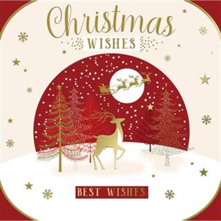 12 Luxury Deer Christmas Cards - 2 Designs - XSLAB1206A