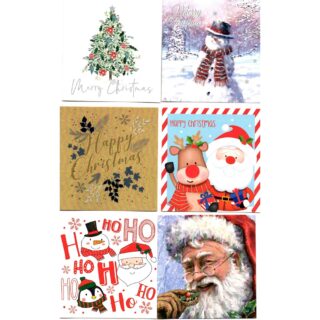30 Christmas Cards - 6 Designs - X-31014-BC