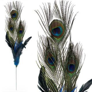 Peacock Feather Pick 55cm - 57085