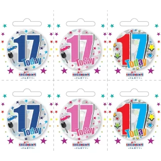 Age 17 Small Badges (6 assorted per perforated card) (5.5cm) - BA5219