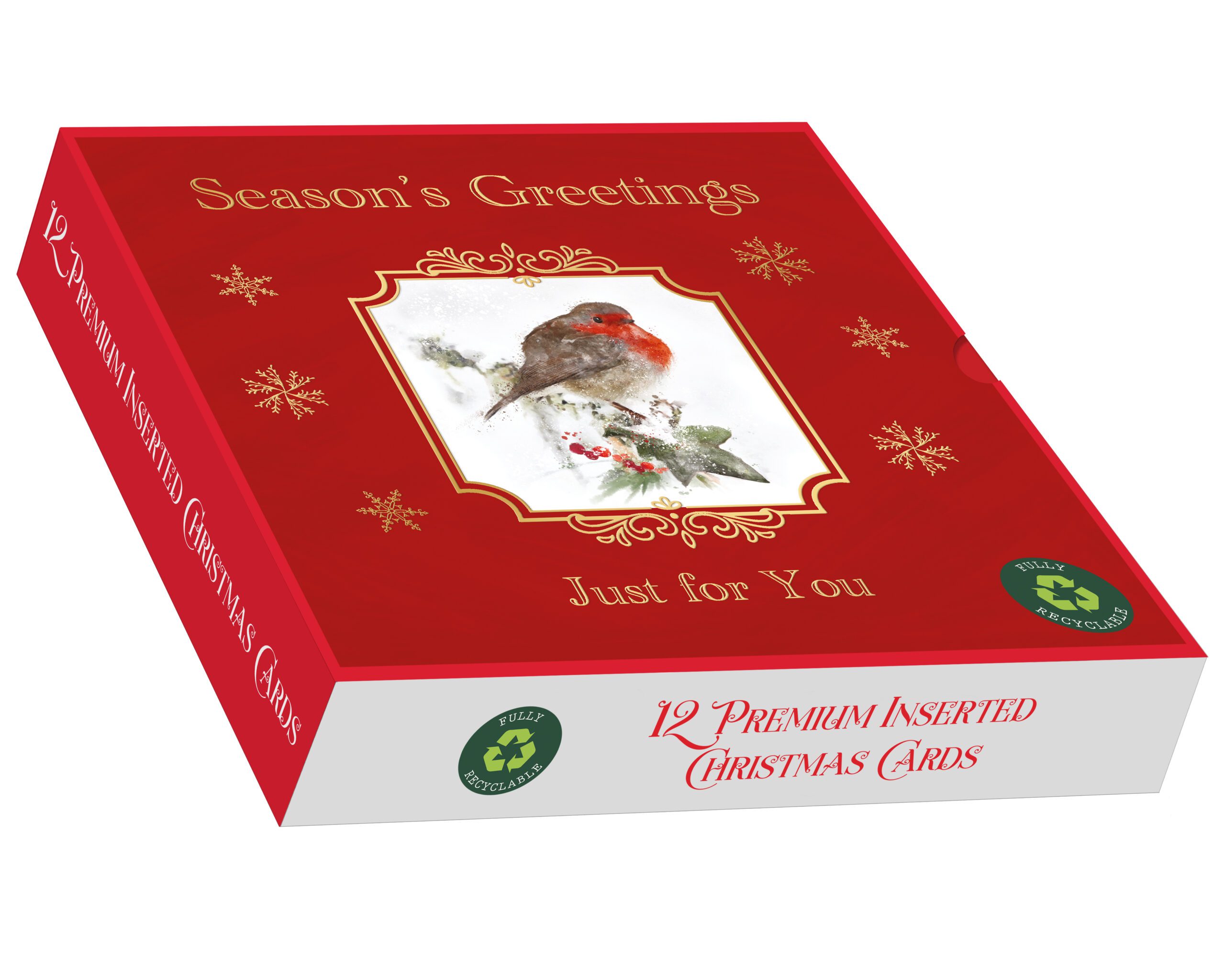 PXB6019 - Sq - 12in Premium Cards - Winter Robin*