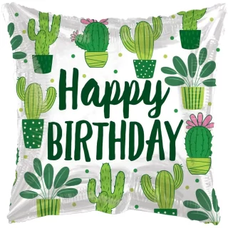 Apac - Eco One Birthday Cactus - 18