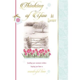 Thinking Of You - Code 50 - 6pk - SLE5009A/02 - Sensations