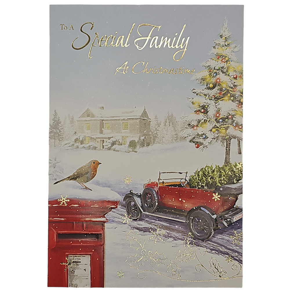 Starlight - Special Family - C50 - 12pk - 2 Designs - SXC50-1134