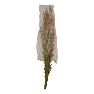Sifcon - Dusty Pink Wild Flowers - 56cm - FL1087A
