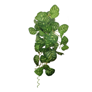 Green Branch leaves - 55cm - 359685