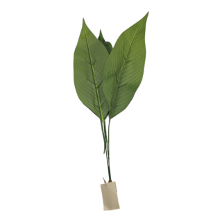 Florist - Aspidistra Leaf - 44cm - 877083