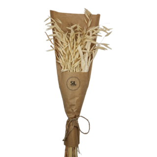 Sifcon - Assorted Dried Grass - 45cm - FL1189