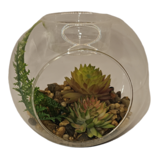 Sifcon - Glass Terrarium With Tea Light Holder - FL1056
