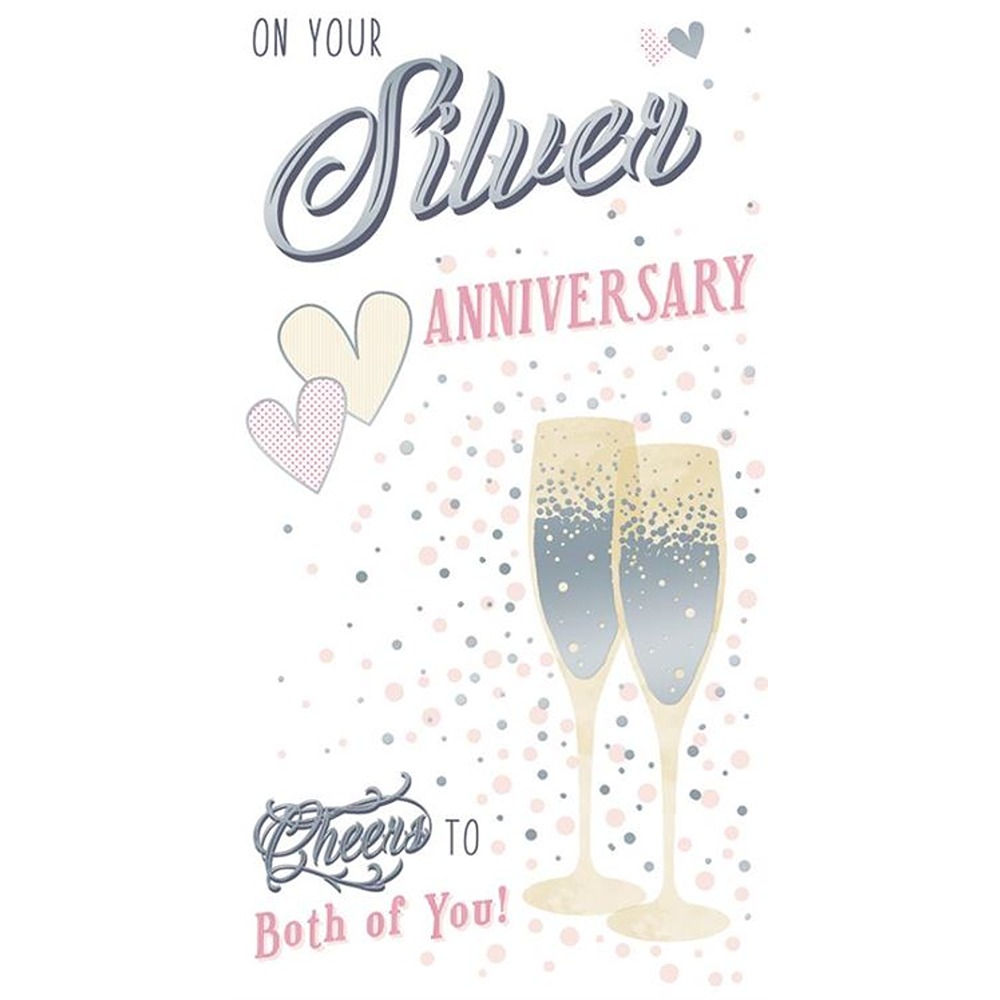 Anniversary Silver - Code 30 - 6pk - FTN091 - Kingfisher *