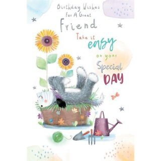 Special Friend Male -  Code 75 - 6pk - CAB032 - Kingfisher