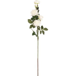 Large Diana Rose Spray x 5 White