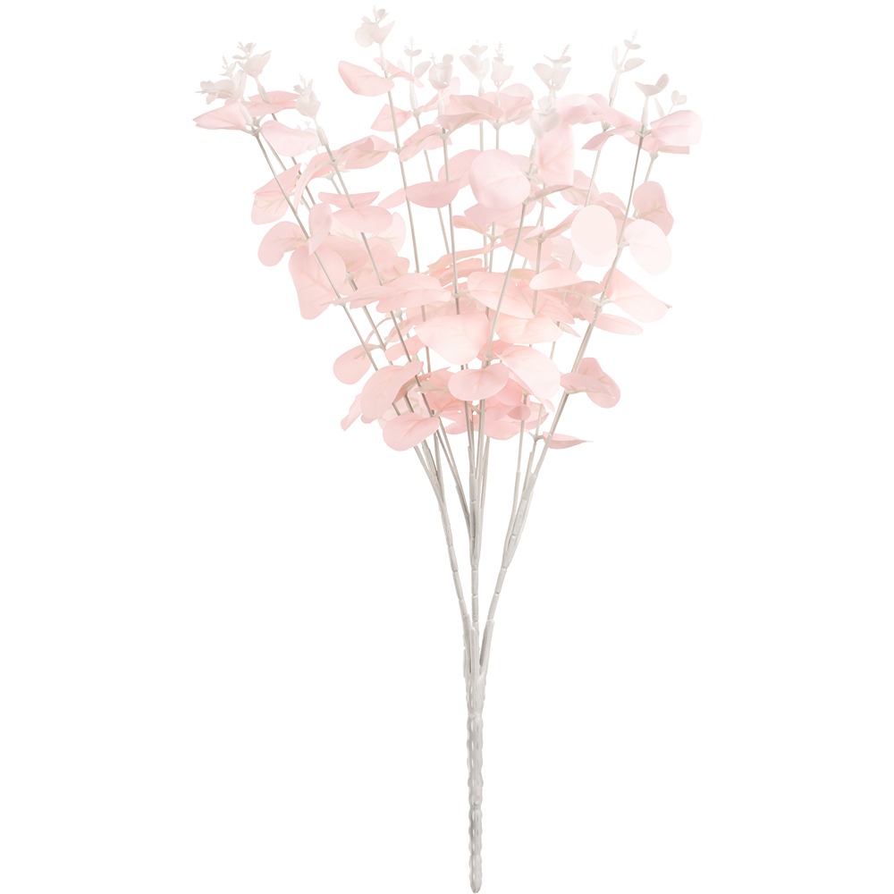 Eucalyptus Bush x 16 Pink
