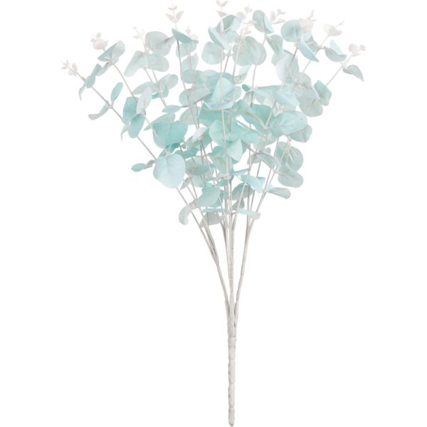 Eucalyptus Bush x 16 Blue