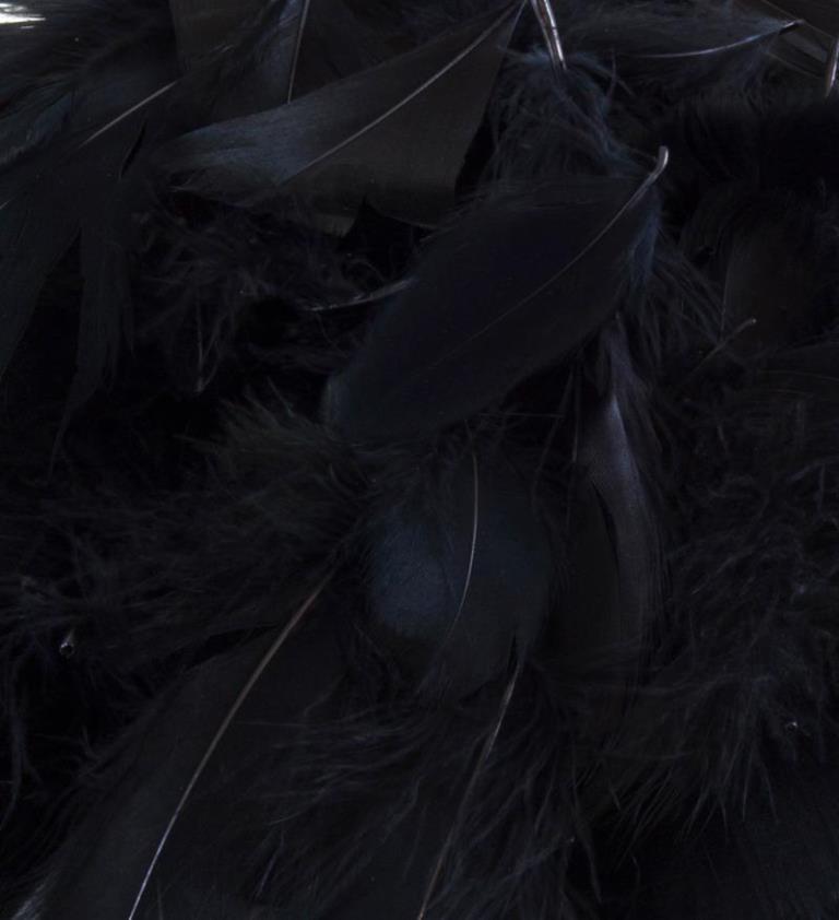 Eleganza Feathers Mixed sizes 3"-5" 50g bag Black No.20