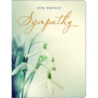 Regal -  Sympathy Snowdrops - C50 6pk - H90126