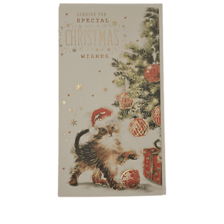 Kingfisher - Special Wishes - C30 - 6pk - XFTN059