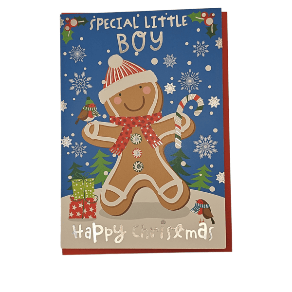 Kingfisher - Special Little Boy - C50 - 6pk - XMN092