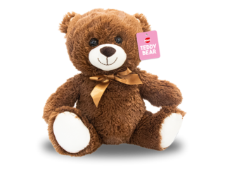 Brown Teddy Bear 30cm - TOY7067OB