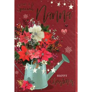 Xmas Special Nan - XMN022