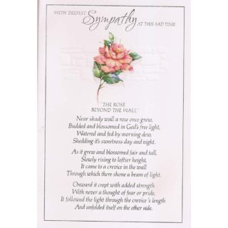 Simon Elvin - Sympathy - Trad Anni C75   - IT87*