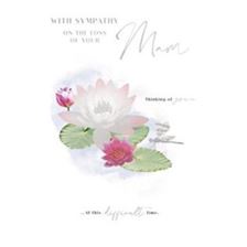KINGFISHER - SYMPATHY MAM - C50 - 6PKT -Y24003*