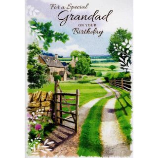 Birthday - Grandad - Code 50 - 12pk - 2 Designs - SE28627