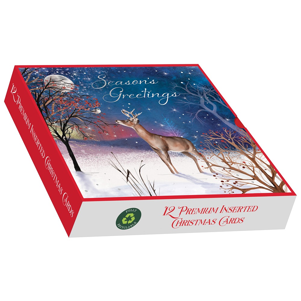 Out Of The Blue - SQUARE - 12in Premium Cards - A Winter's Night - PXB7022