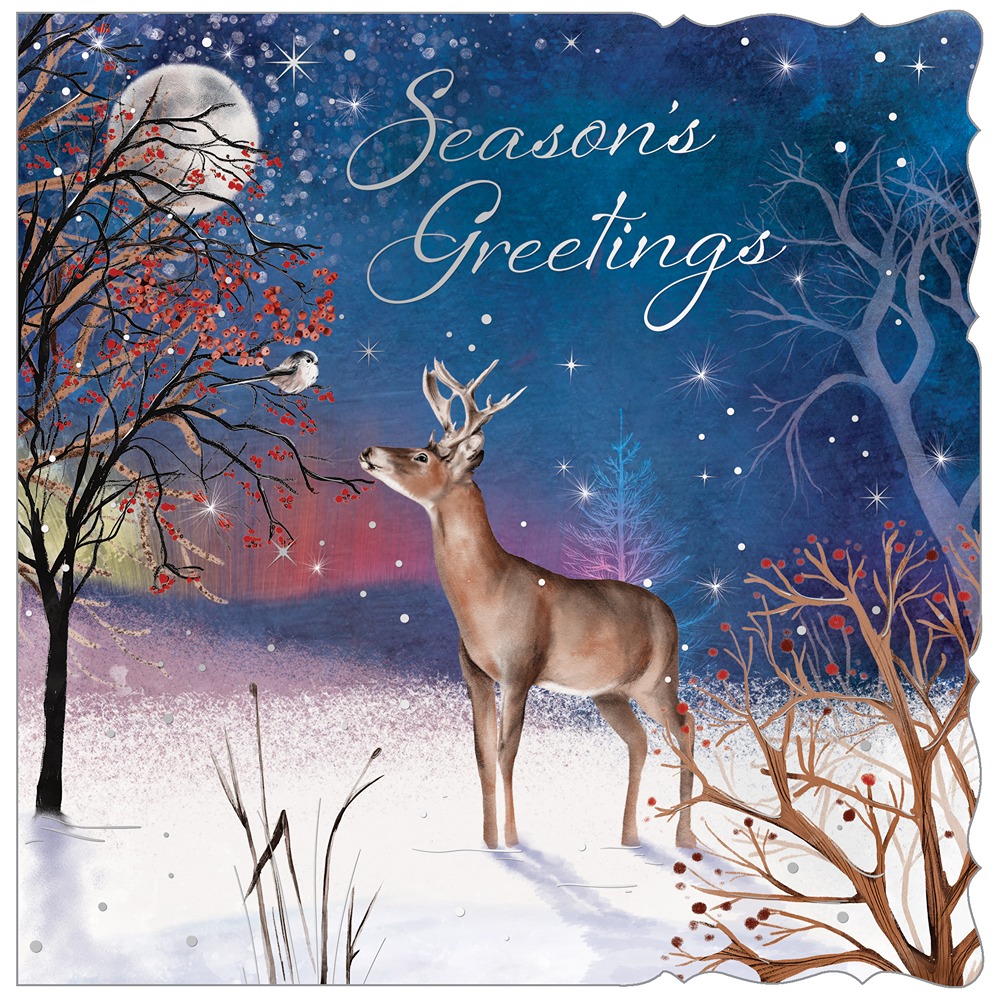 Out Of The Blue - SQUARE - 12in Premium Cards - A Winter's Night - PXB7022 - Image 2