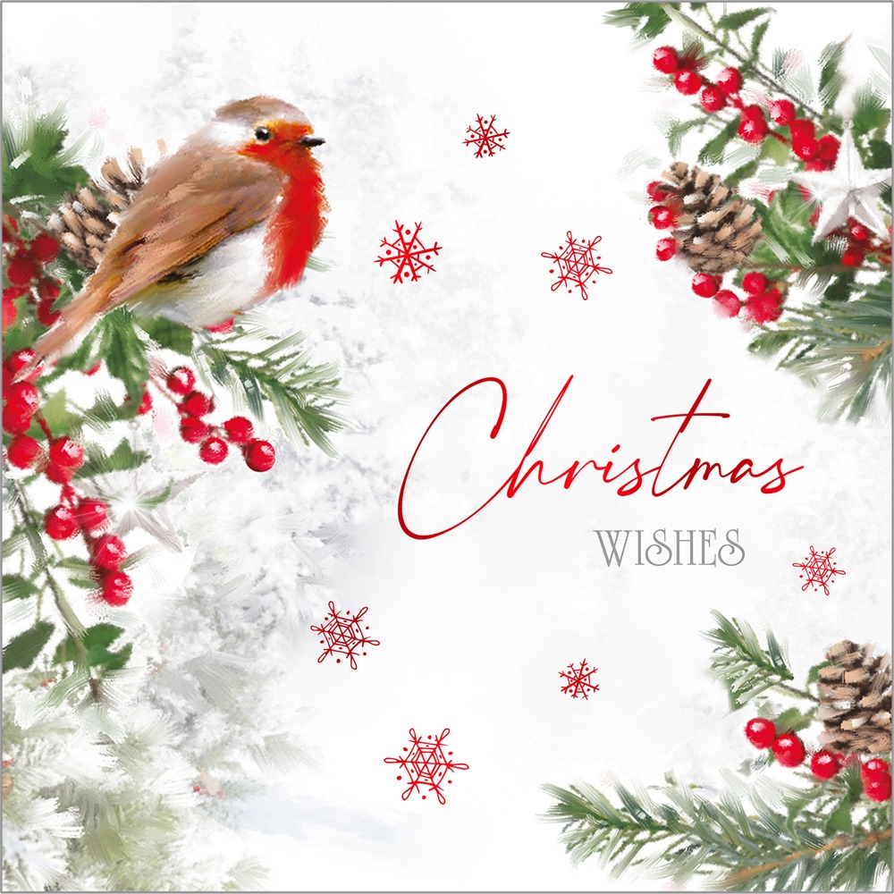 Out Of The Blue - SQ - 24in Luxury Cards - Winter Visit - XB7002 - Image 3