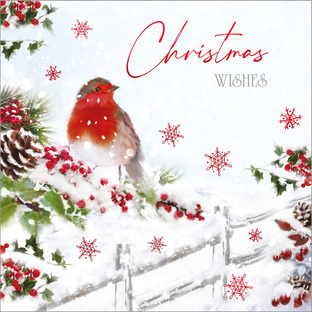 Out Of The Blue - SQ - 24in Luxury Cards - Winter Visit - XB7002 - Image 2
