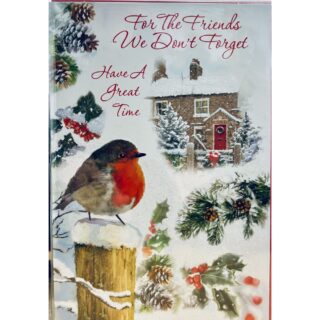 heartstrings - FRIENDS WE DONT FORGET C50 - 12 PKT - XSE26499