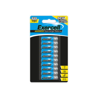 AAA Extra Heavy Duty Batteries 10pk - ELE-2407/OB