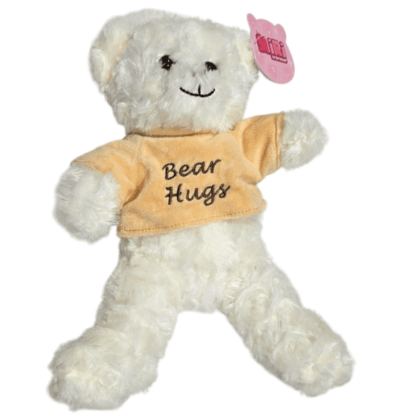 20CM BEAR HUGS WITH JUMPER - R01-1900