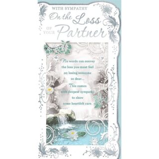 Loss of Partner - M - C72 - 6pk - OPS7204A/04 - X.Yourself*