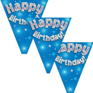 Blue Holographic Bunting