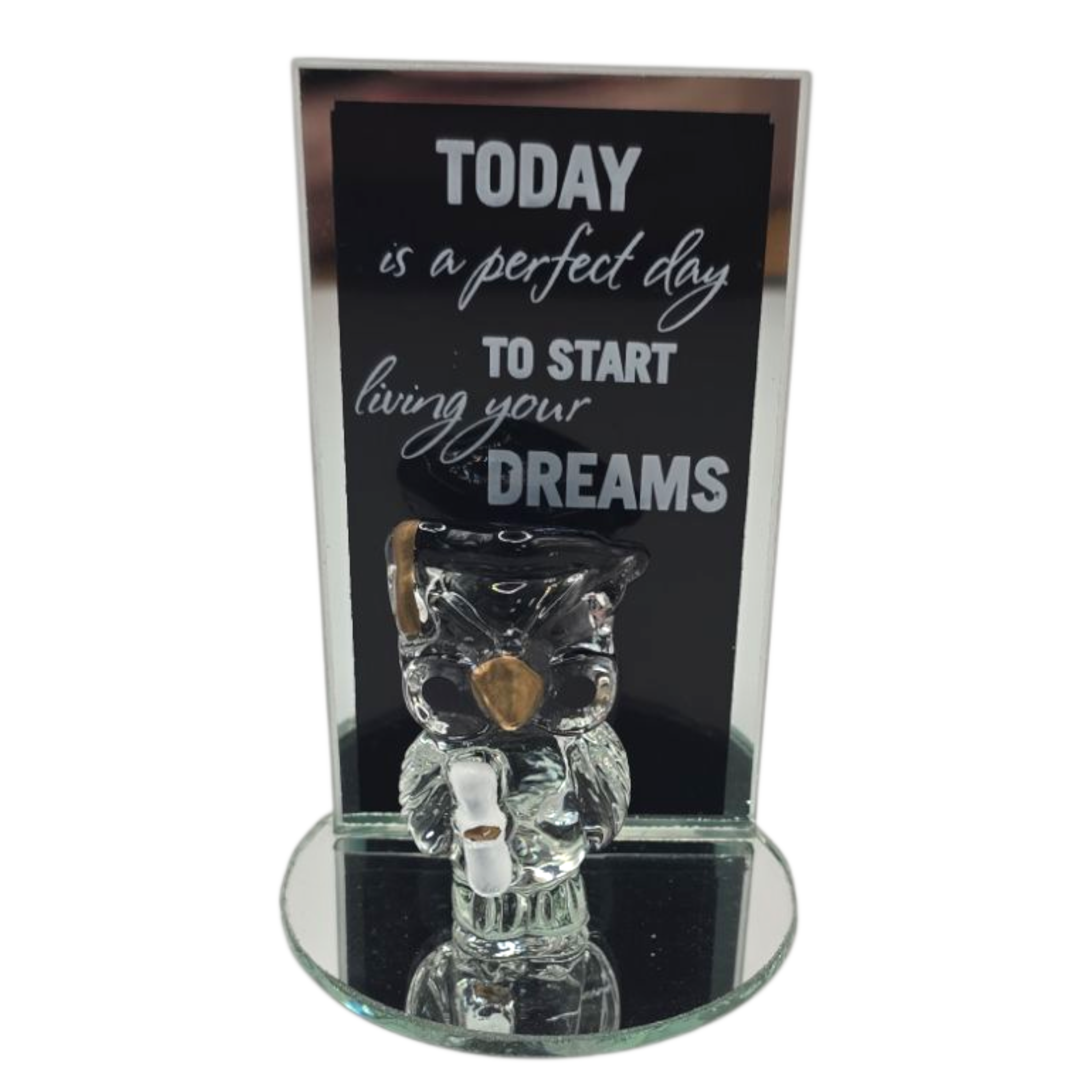 Graduation Plaque Owl - TZ21*