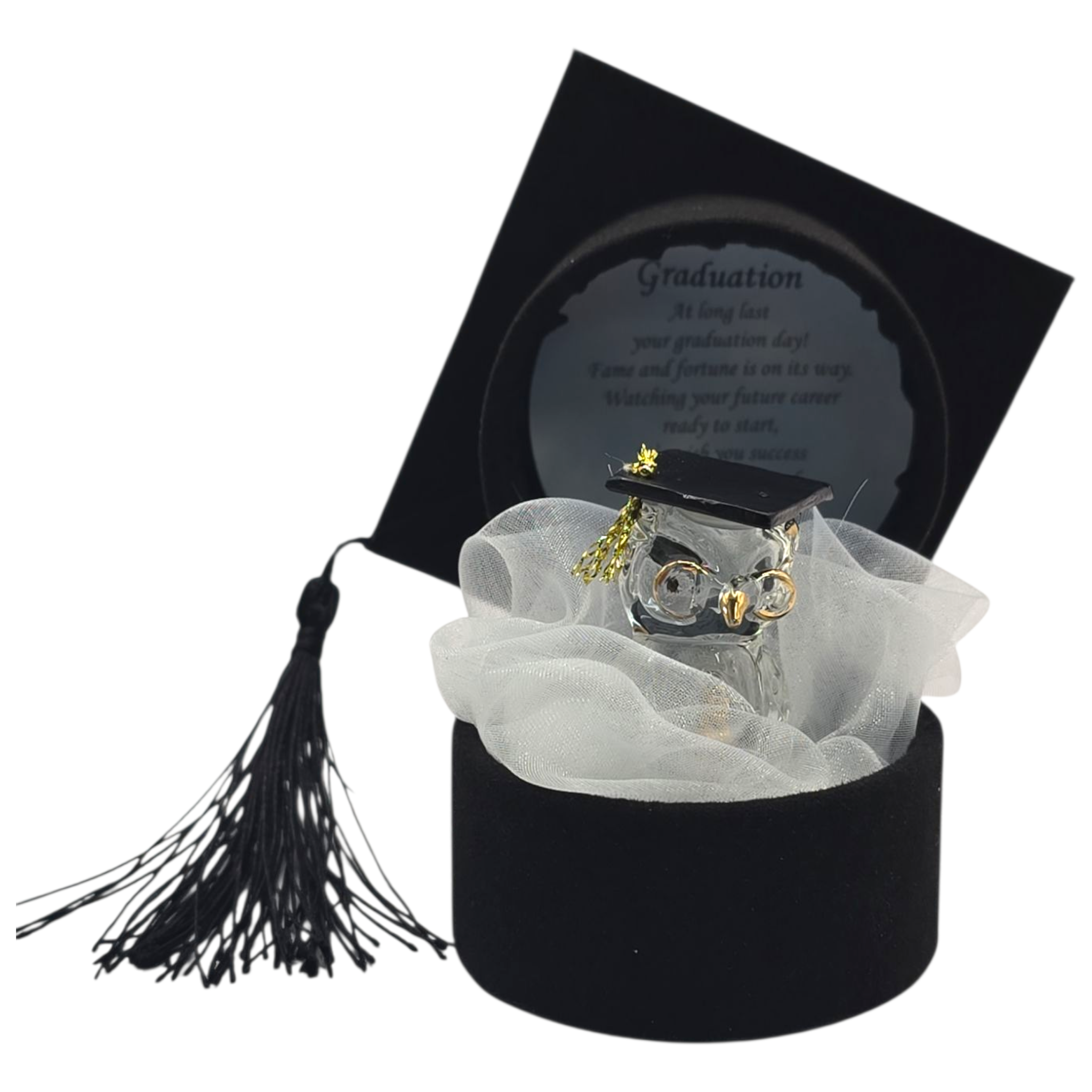 Graduation Box Owl - 936103*