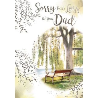 Kingfisher - Loss Of Dad - Code 50 - 6pk - AUR216*