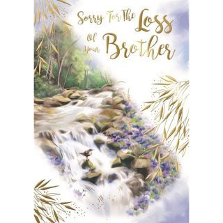 Kingfisher - Loss Of Brother - Code 50 - 6pk - AUR222*